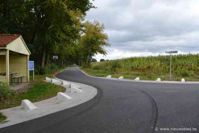44 nieuwe bomen op komst voor Talondreef en omgeving, bocht lokt discussie uit