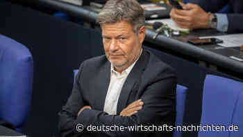 Ifo-Chef: Fachkräftemangel und Energiewende bremsen die Wirtschaft