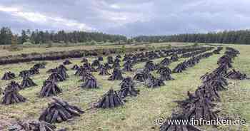 Torf in Irland: Heimelig, aber unheimlich schädlich