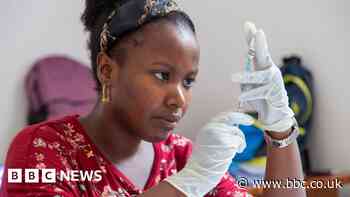 New, cheap malaria vaccine backed by WHO