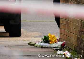 Pictures from fatal stabbing in Kendal Gardens, Edmonton