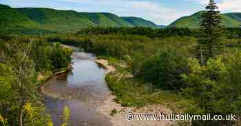 Top 30 best exports to come out of Canada - including peanut butter and Ryan Reynolds