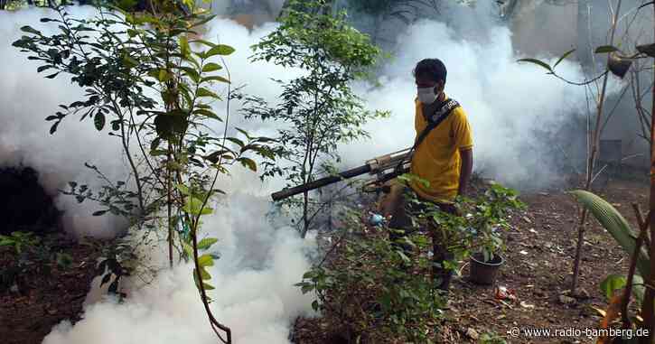 Mehr als Tausend Tote wegen Dengue-Fieber in Bangladesch