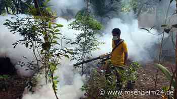 Mehr als Tausend Tote wegen Dengue-Fieber in Bangladesch