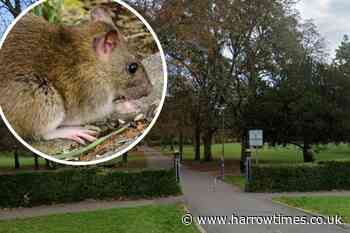 Harrow Council urged to eradicate rats in West Harrow Park