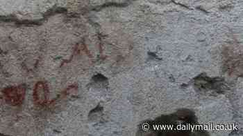 Pompeii's Parliament! Archaeologists discover electoral inscriptions in an ancient house caught in Mount Vesuvius' devastating eruption