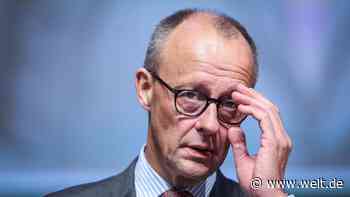 Merz schlägt milliardenschwere Steuerreform vor