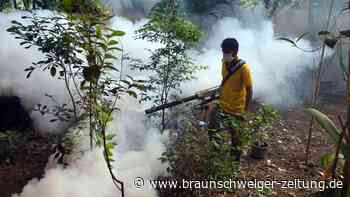 Mehr als Tausend Tote wegen Dengue-Fieber in Bangladesch