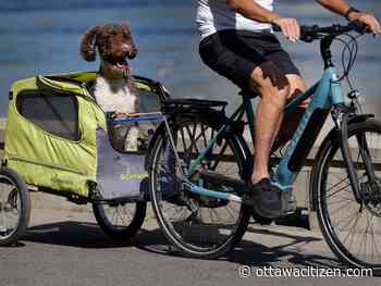 Ottawa's summer heat wave stretches into October
