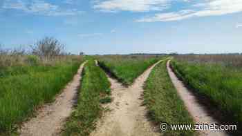 Two divergent skills that matter in an AI world: Math and business development