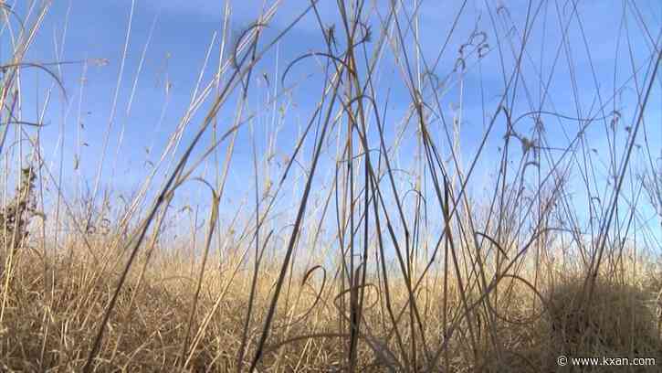 William County burn ban lifted