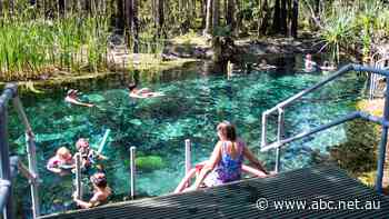 Fears for popular hot springs as project could extract 2,300 Olympic pools of water a year