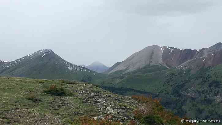 Grizzly bear attacks rare, but a risk in wilderness, experts say after Banff deaths