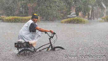 2023 is officially Fort Lauderdale's wettest on record