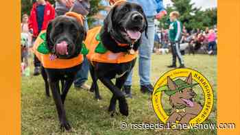 Barktoberfest raising funds for Peninsula SPCA with costume contests, food trucks and beer garden