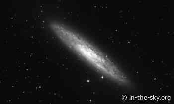 03 Oct 2023 (Tomorrow): NGC 253 is well placed