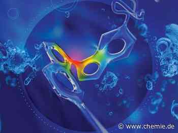 Chemiker erzielen Durchbruch bei der Lösung eines langjährigen Rätsels in der Polymerwissenschaft
