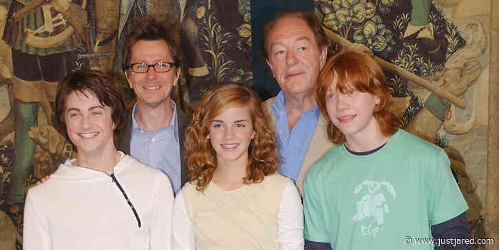 Daniel Radcliffe Recalls the Sort of Conversations He Had With Dumbledore Actor Michael Gambon