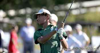 Boys golf: Hinsdale Central rides depth to sectional title; WW South, Geneva also advance