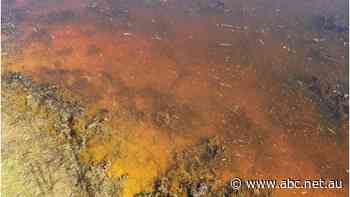 Cadmium at 50,000 times the legal level found next to farm near disused gold mine, inquiry told