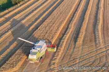 Heimische Bauern blicken auf schwierige Ernte