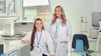 The ‘Green’ Future of Furniture Is a Sofa Stuffed With Seaweed