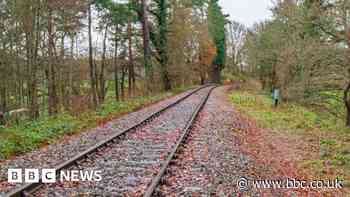 Northern: Leaves on the line blasted in trains test