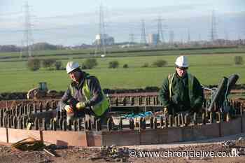 Durham family firm Banks Group sells wind farm business for hundreds of millions