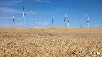 Erneuerbare Energien – „Hier können die ostdeutschen Flächenländer profitieren“