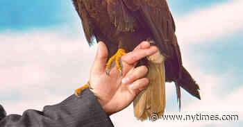 Americans Are Losing Trust in Science After Covid