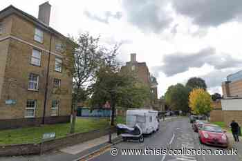Catherine Grove Greenwich 'XL Bully' dog attack: Boy in hospital