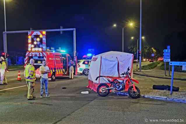 Robbe (22) komt om bij zwaar verkeersongeval op N16: “Hij was een genieter en wou geen minuut van het leven verloren laten gaan”