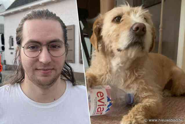 Baasjes van Tesla (9) diep bedroefd nadat geliefde hond brand niet overleeft: “Dit doet ons het meeste pijn”