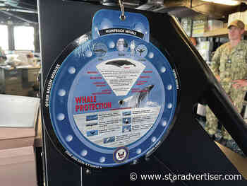 Navy seeks revision allowing for more whale deaths