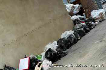 Rat seen as rubbish not cleared from Salisbury Road flats, Watford