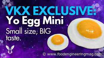 Vkind Introduces Yo Egg