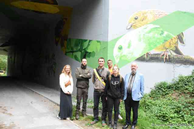 Dieren uit het Hallerbos verwelkomen wandelaars op nieuw kunstwerk: “Vanaf dit punt neemt de natuur het helemaal over”