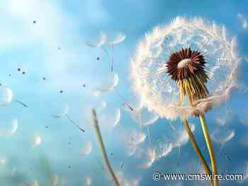 AI in Data Analysis and the Evolving Role of the CMO