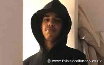 Victim of stabbing in Kendal Gardens, Enfield, named