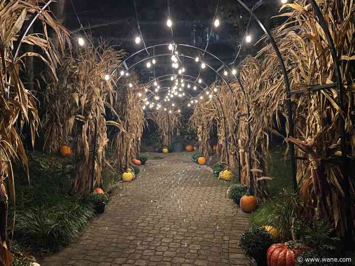 The Pumpkin Path brings thousands of pumpkins to you at the Botanical Conservatory