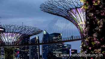 Singapurs Behörden decken Geldwäsche in Milliardenhöhe auf