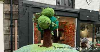 'Lovely' crochet tribute to Sycamore Gap tree appears on Hexham high street