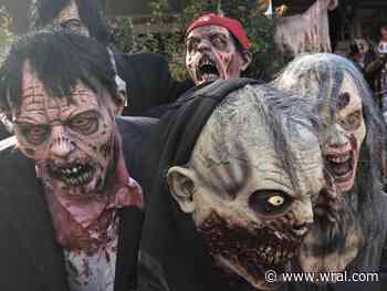 Dinosaurs and skeletons: The real-life story behind Raleigh's famous Oakwood Halloween House