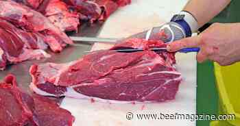 Bill seeks to support small U.S. meat processors, rendering facilities