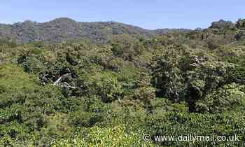 Carbon offsetting is a 'waste of time': Scientists say tree-planting schemes loved by celebrities as an excuse for flying are actually HARMING nature