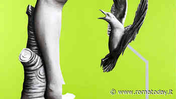 "Rotten dreams and Golden plates", mostra personale di Alessandro Calizza