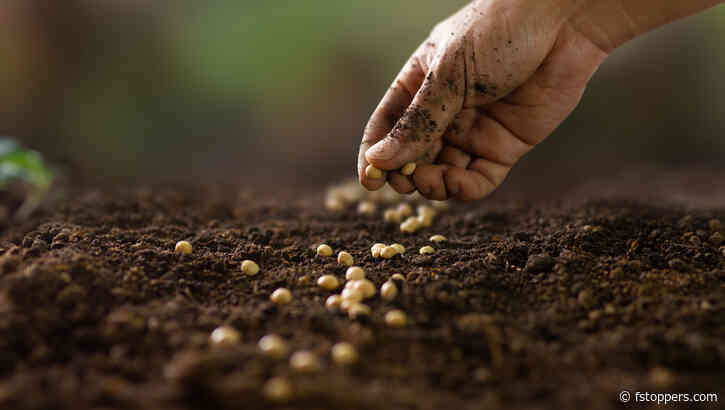 Is It Time to Shift Your Focus From Your Skill to Your Soil?