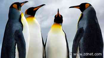 How to create Samba share on Linux for guests to access on your network