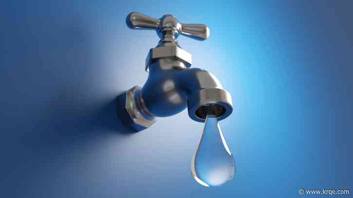 Water Authority offers online class to help with landscaping