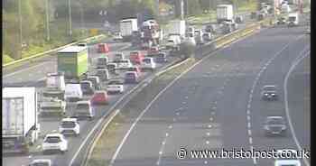 Driver dies on M49 in early morning crash as one man is arrested